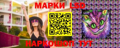 стафф Дубна
