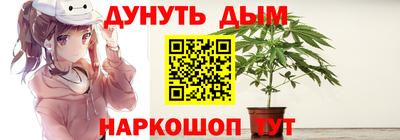 стафф Дубна