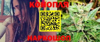 стафф Дубна
