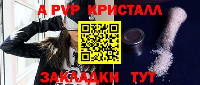 стафф Дубна