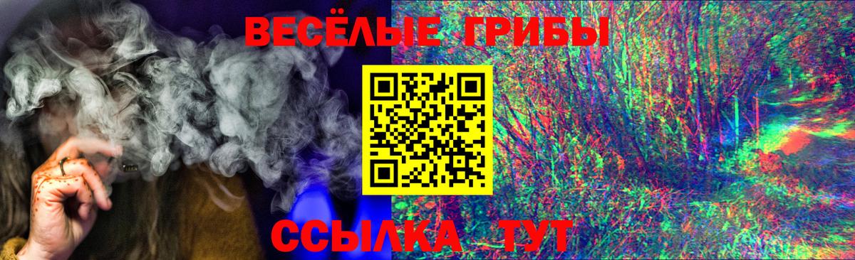 Нововоронеж  Галлюциногенные грибы MAGIC MUSHROOMS  Вход с VPN  Галлюциногенные грибы мухоморы 